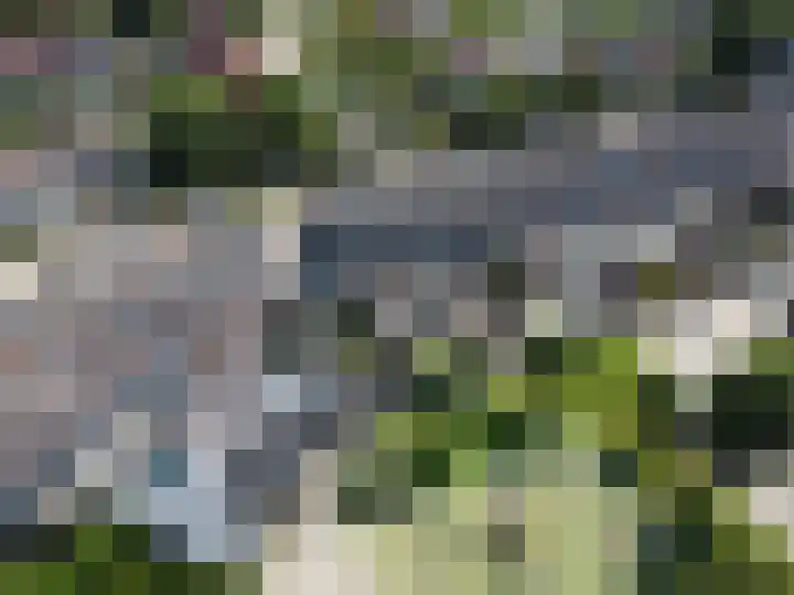Paltrokmolen 22 Noord-Scharwoude thumbnail 53