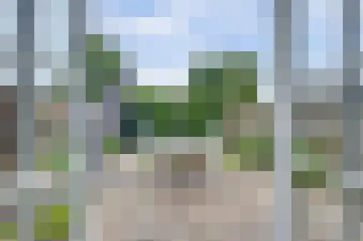 Paltrokmolen 22 Noord-Scharwoude thumbnail 8
