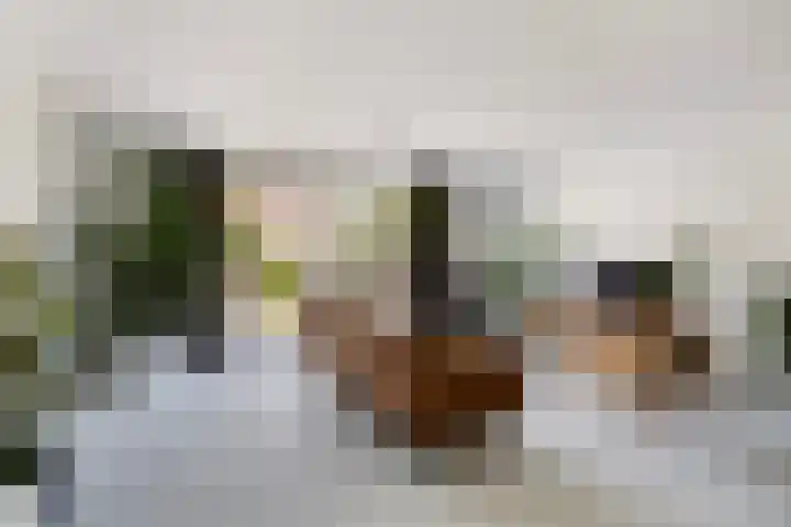 Paltrokmolen 23 Numansdorp thumbnail 10