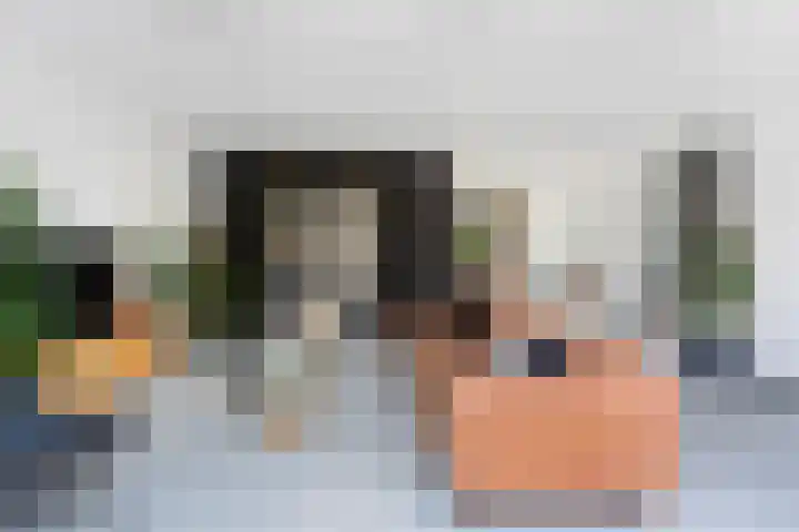 Paltrokmolen 23 Numansdorp thumbnail 14