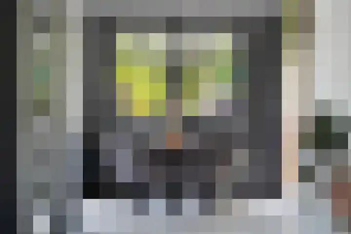 Paltrokmolen 23 Numansdorp thumbnail 16