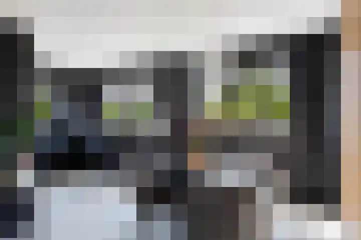 Paltrokmolen 23 Numansdorp thumbnail 17