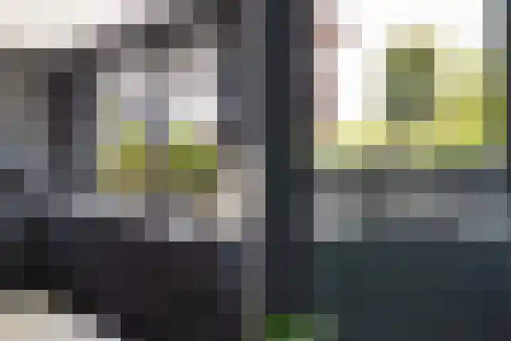 Paltrokmolen 23 Numansdorp thumbnail 22