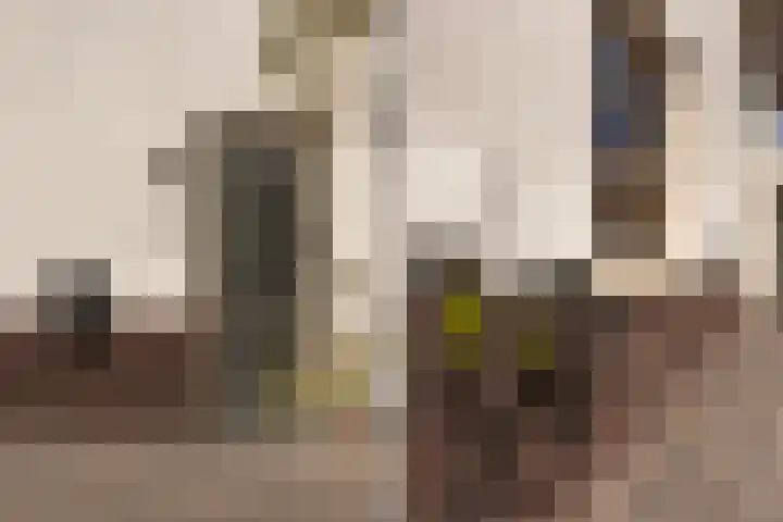 Paltrokmolen 23 Numansdorp thumbnail 4