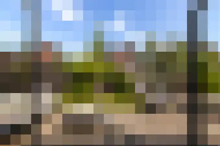 Paltrokmolen 23 Numansdorp thumbnail 44