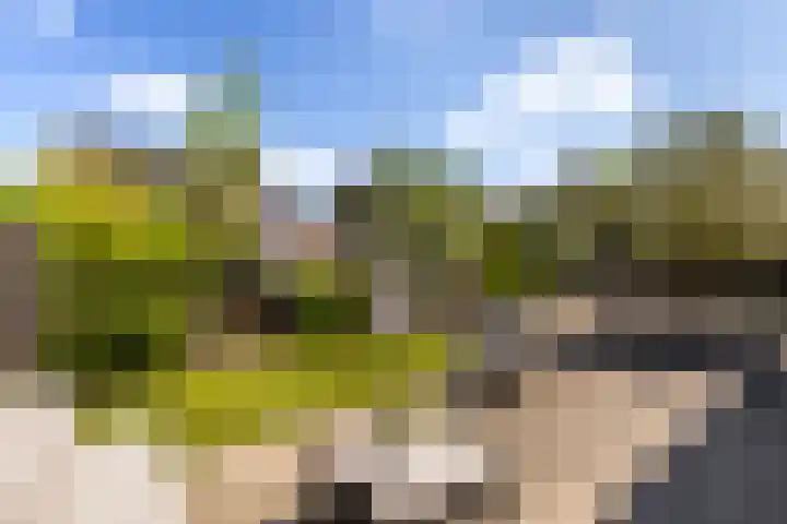 Paltrokmolen 23 Numansdorp thumbnail 45