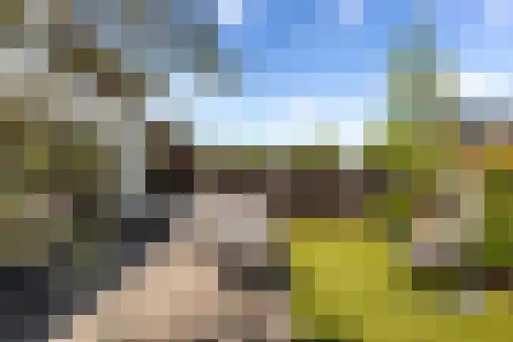 Paltrokmolen 23 Numansdorp thumbnail 47