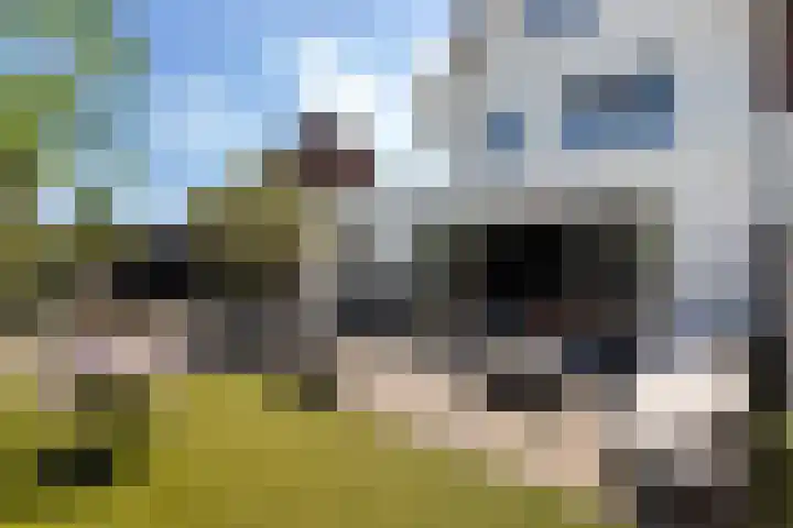 Paltrokmolen 23 Numansdorp thumbnail 48