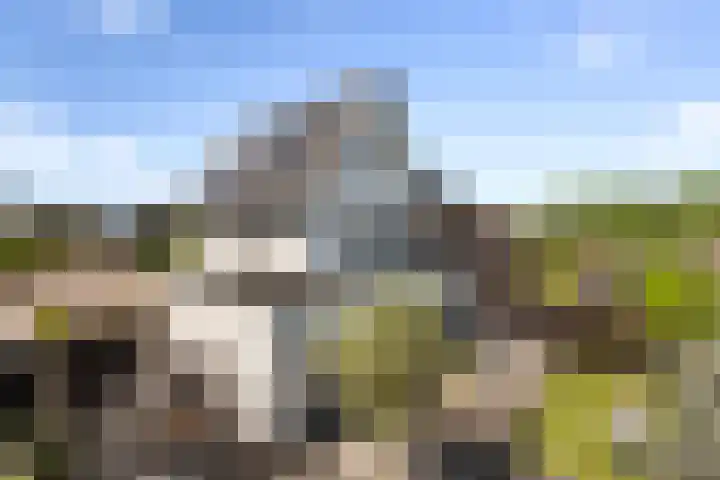 Paltrokmolen 23 Numansdorp thumbnail 53