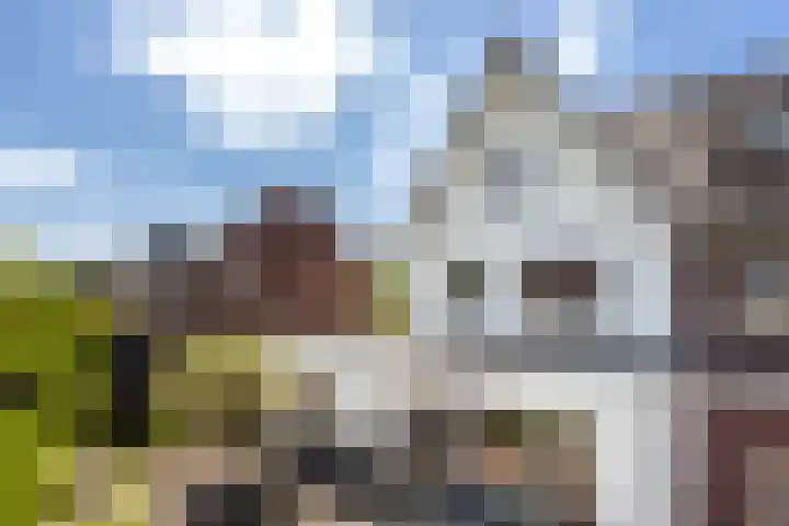Paltrokmolen 23 Numansdorp thumbnail 54