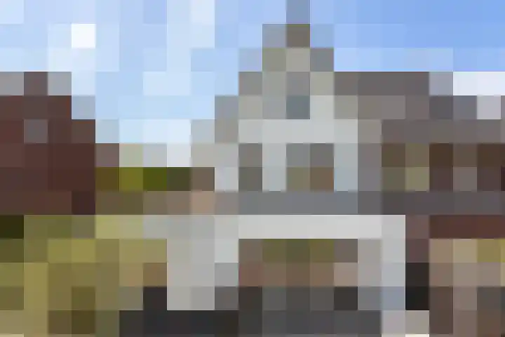 Paltrokmolen 23 Numansdorp thumbnail 55