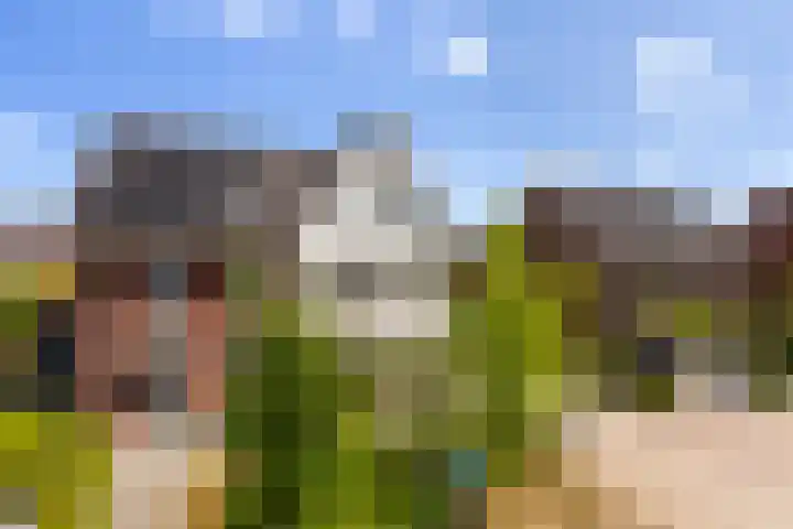 Paltrokmolen 23 Numansdorp thumbnail 56