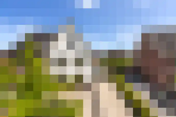 Paltrokmolen 23 Numansdorp thumbnail 57