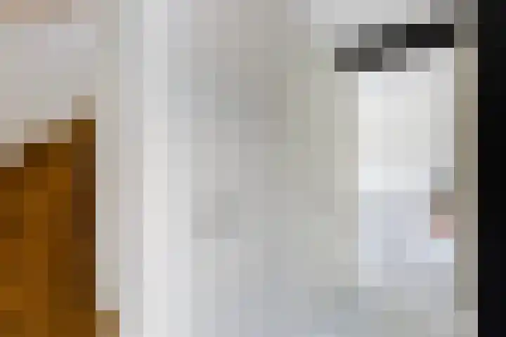 Paltrokmolen 23 Numansdorp thumbnail 6