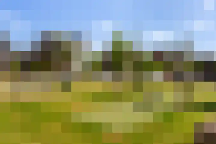 Paltrokmolen 23 Numansdorp thumbnail 60