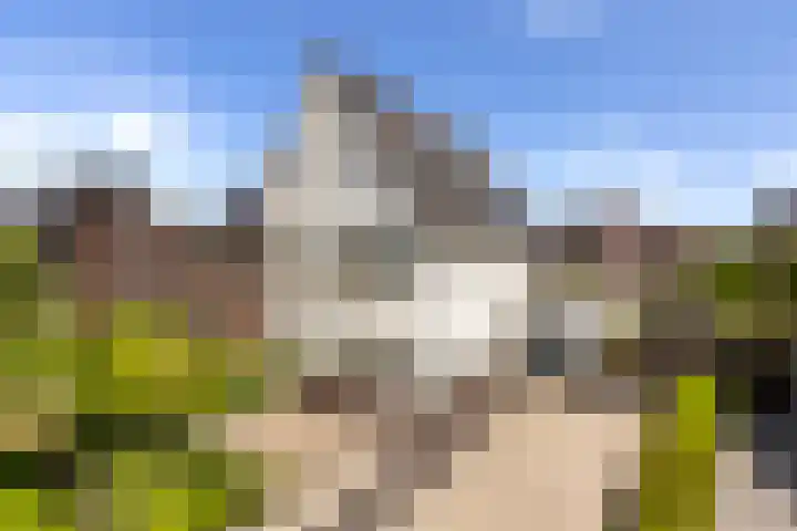 Paltrokmolen 23 Numansdorp thumbnail 66