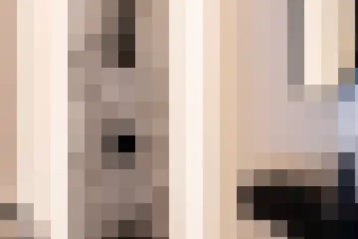 Paltrokmolen 23 Numansdorp thumbnail 7