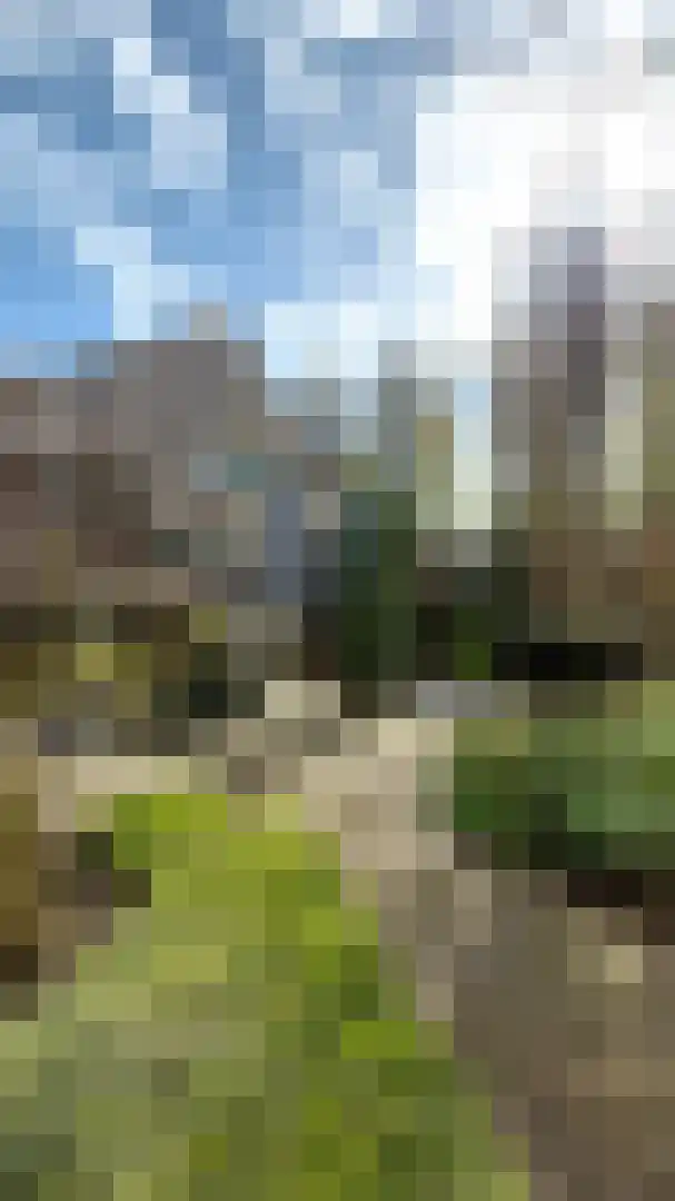Paltrokmolen 24 Weert thumbnail 21