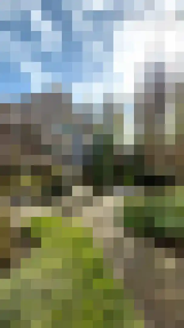 Paltrokmolen 24 Weert thumbnail 21