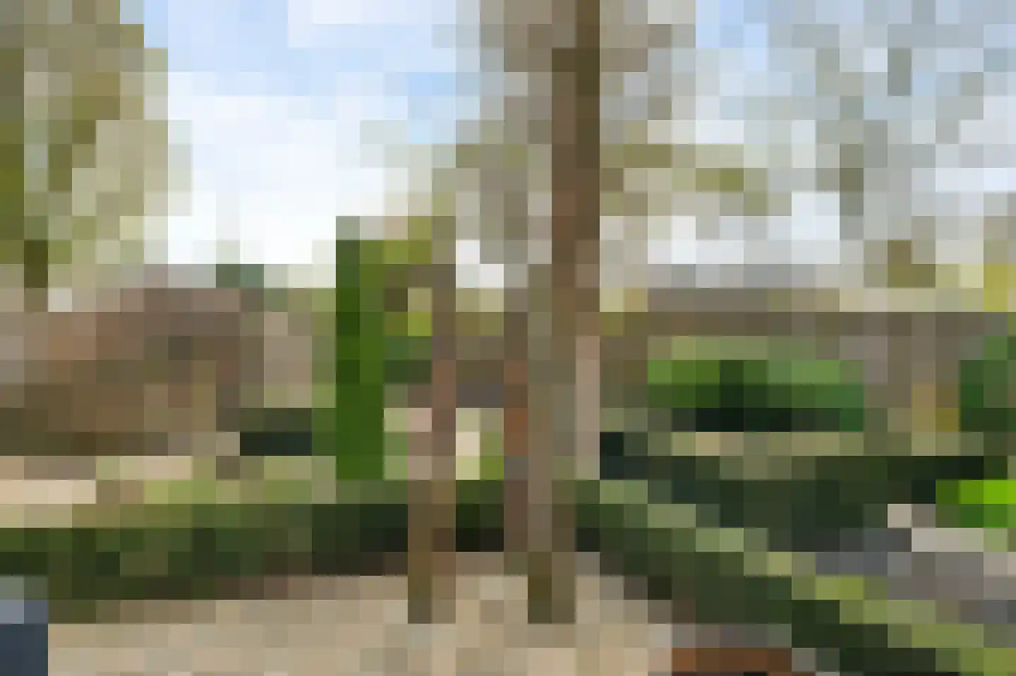 Paltrokmolen 24 Weert thumbnail 4
