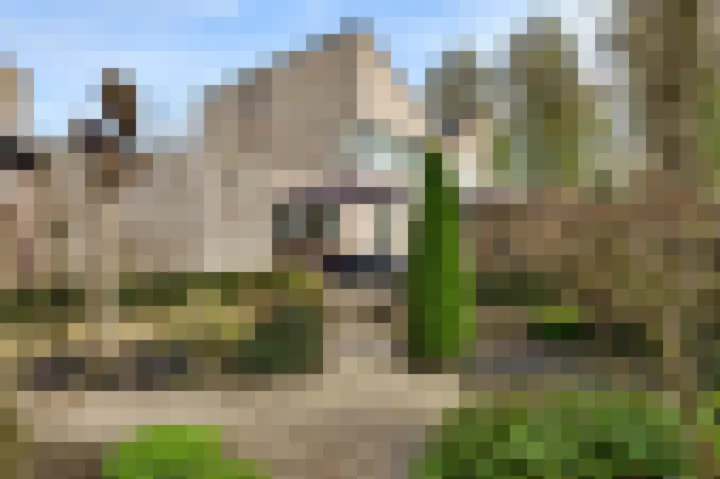 Paltrokmolen 24 Weert thumbnail 42