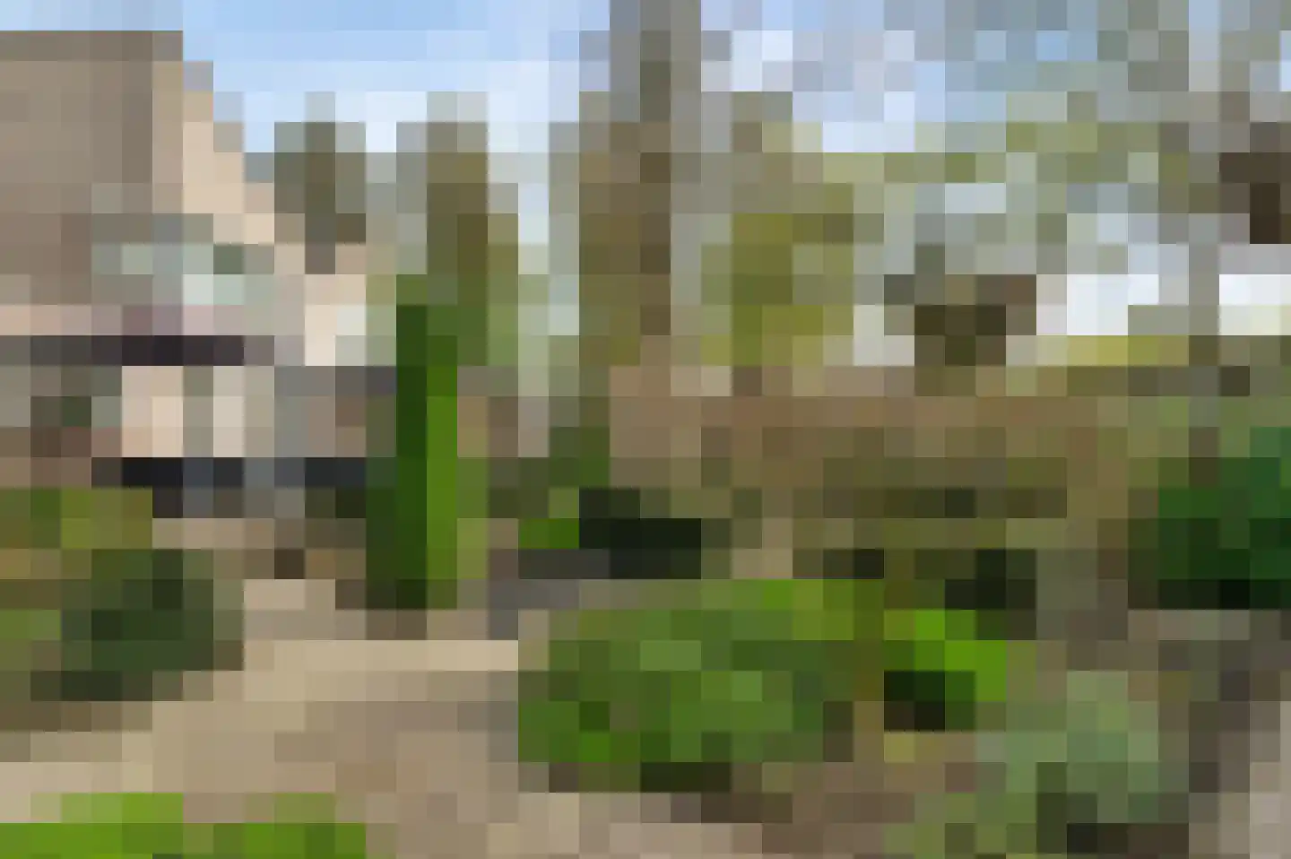 Paltrokmolen 24 Weert thumbnail 43