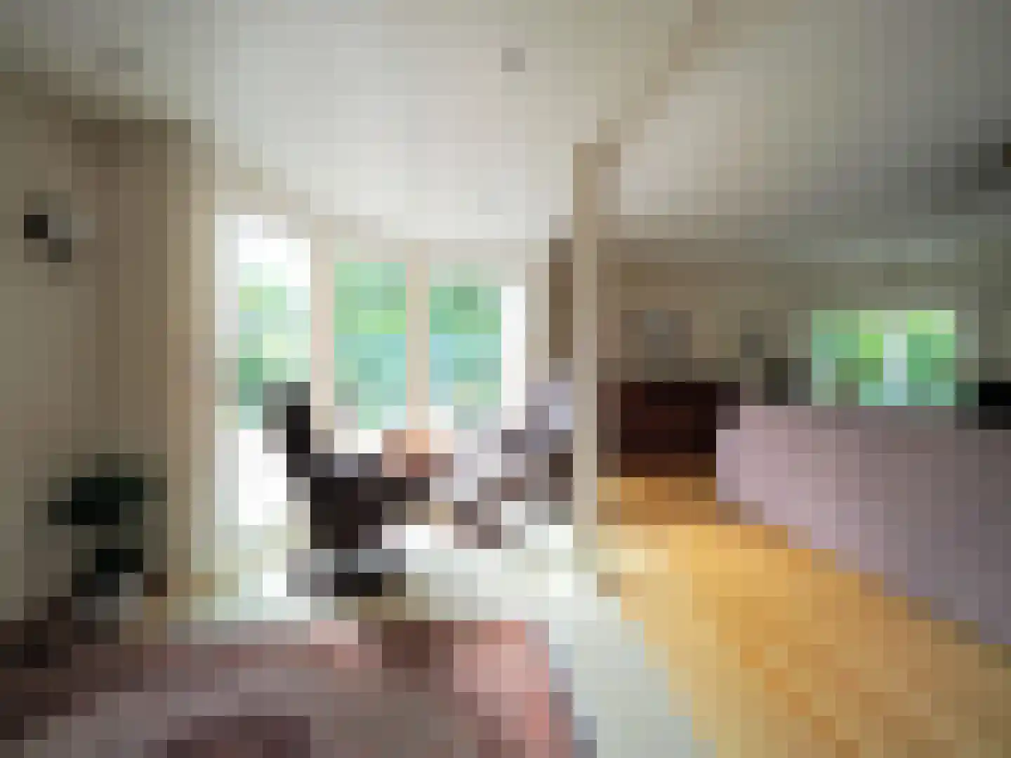 Paltrokmolen 25 Papendrecht thumbnail 19
