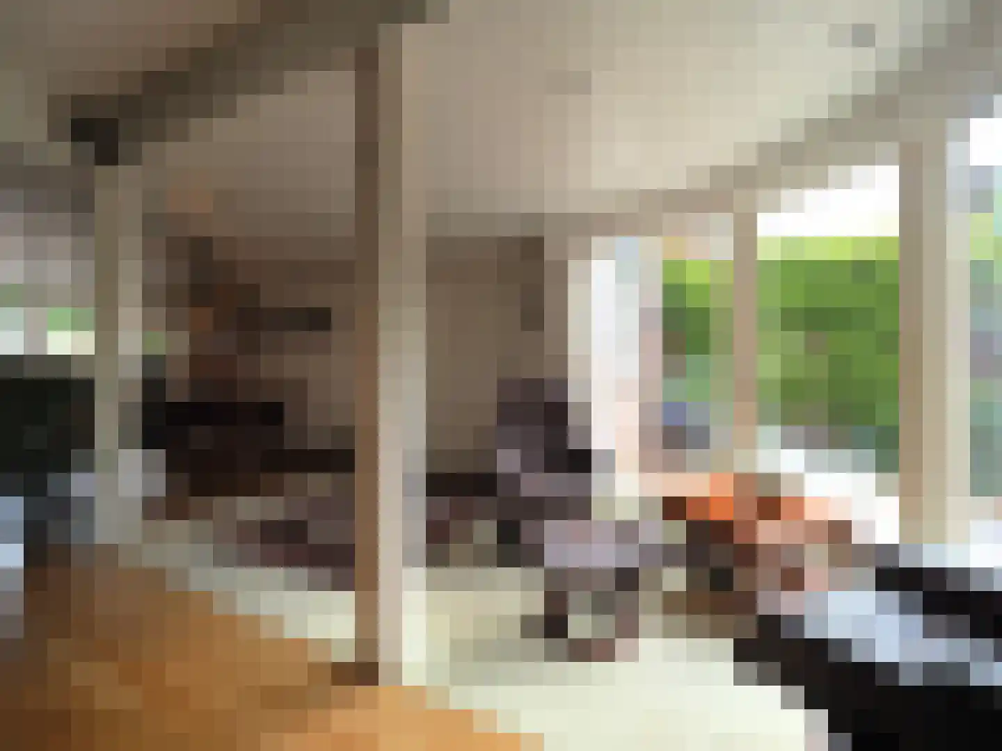 Paltrokmolen 25 Papendrecht thumbnail 20