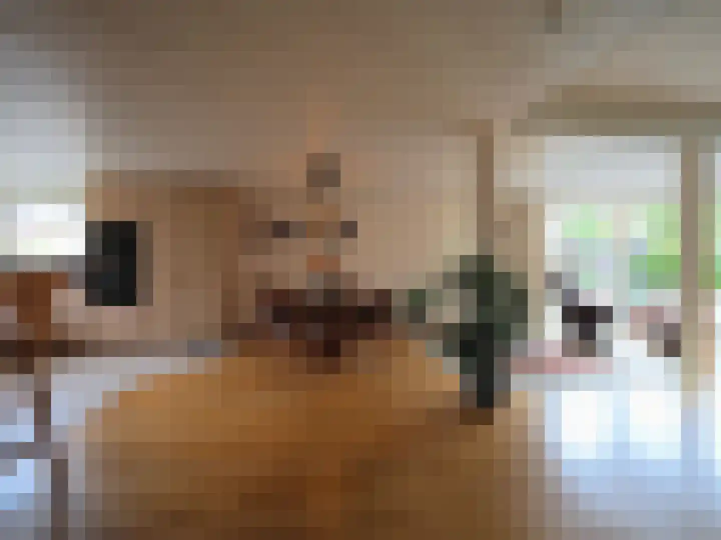 Paltrokmolen 25 Papendrecht thumbnail 22