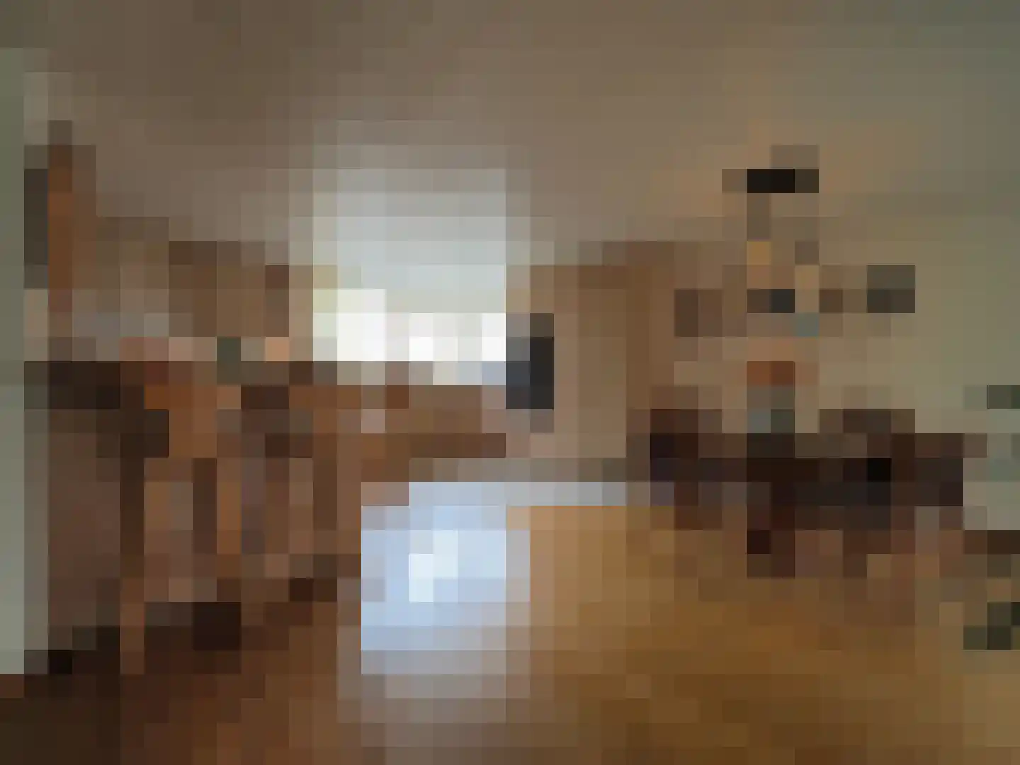 Paltrokmolen 25 Papendrecht thumbnail 23