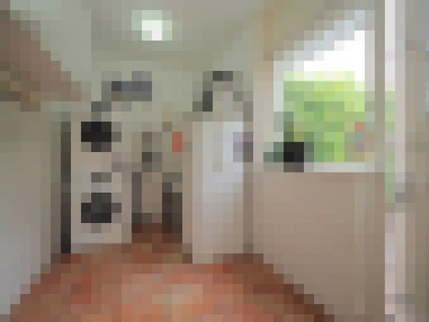 Paltrokmolen 25 Papendrecht thumbnail 30