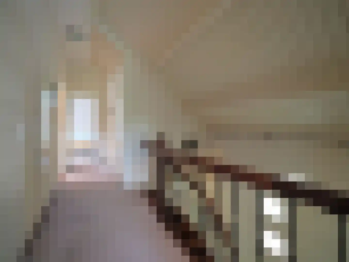 Paltrokmolen 25 Papendrecht thumbnail 31