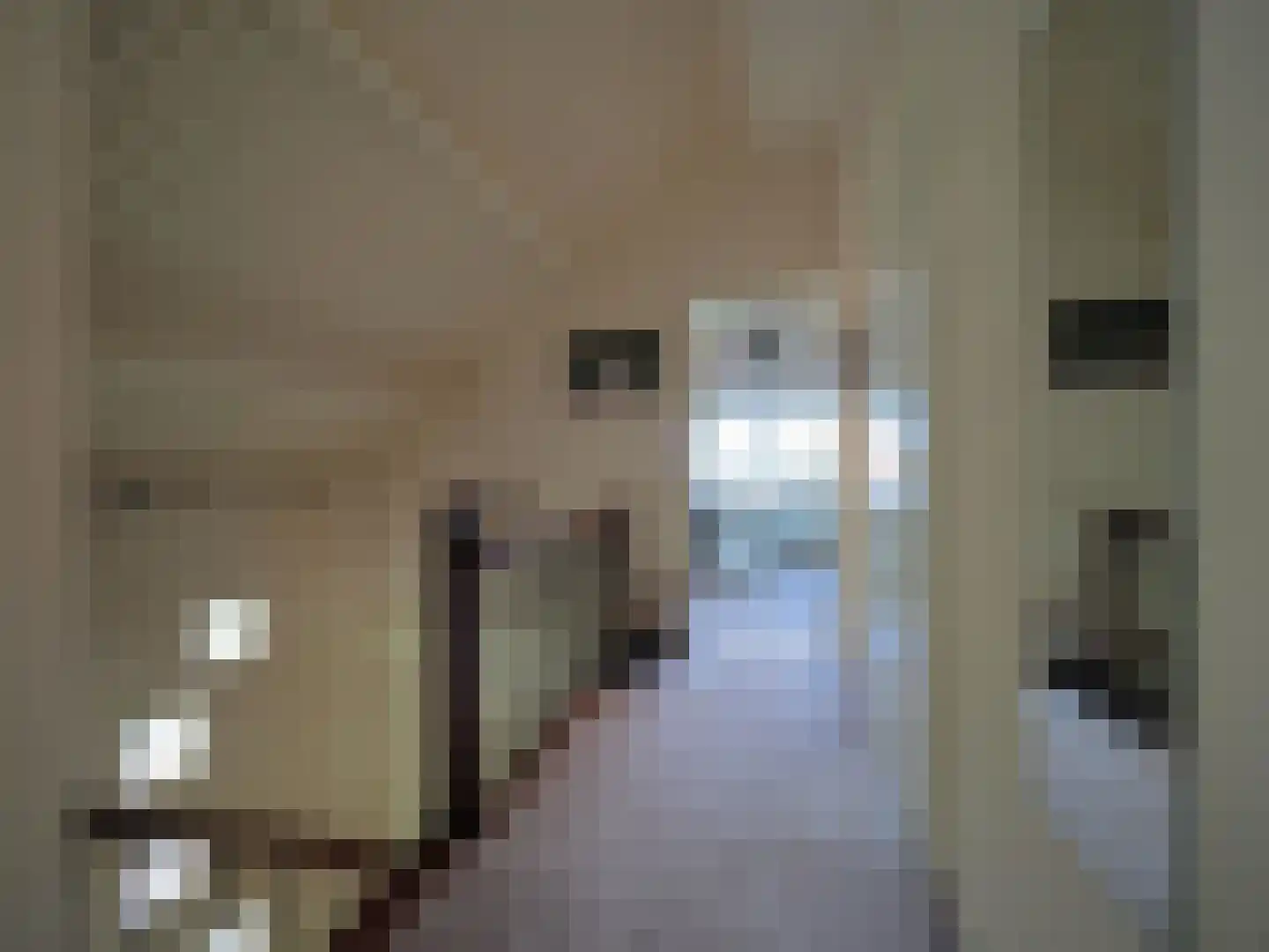 Paltrokmolen 25 Papendrecht thumbnail 32
