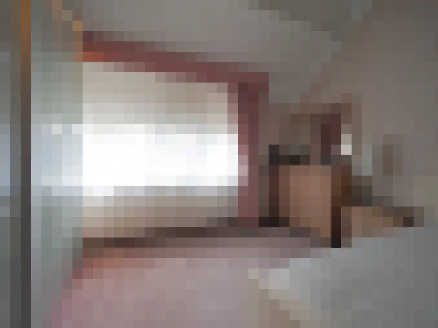 Paltrokmolen 25 Papendrecht thumbnail 34