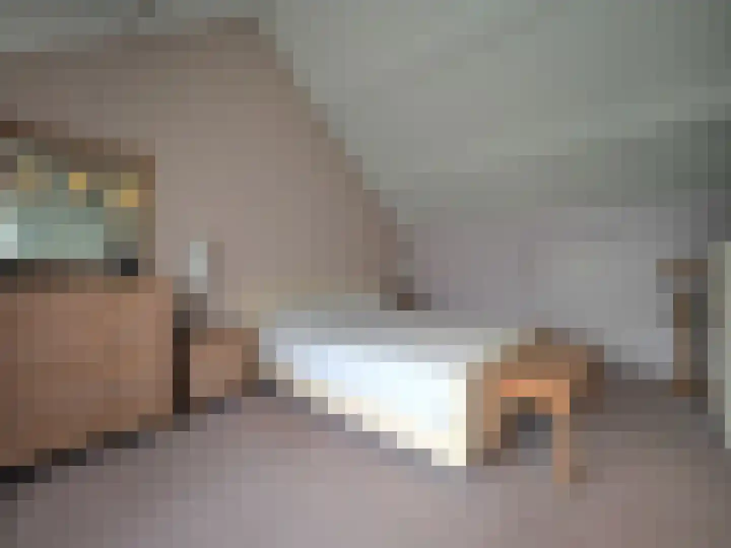 Paltrokmolen 25 Papendrecht thumbnail 35