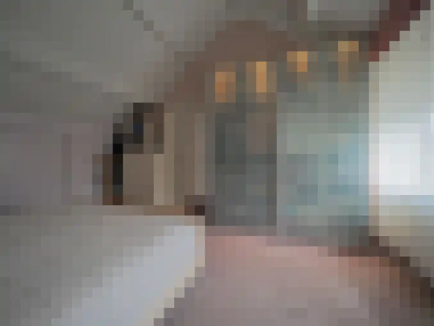 Paltrokmolen 25 Papendrecht thumbnail 36