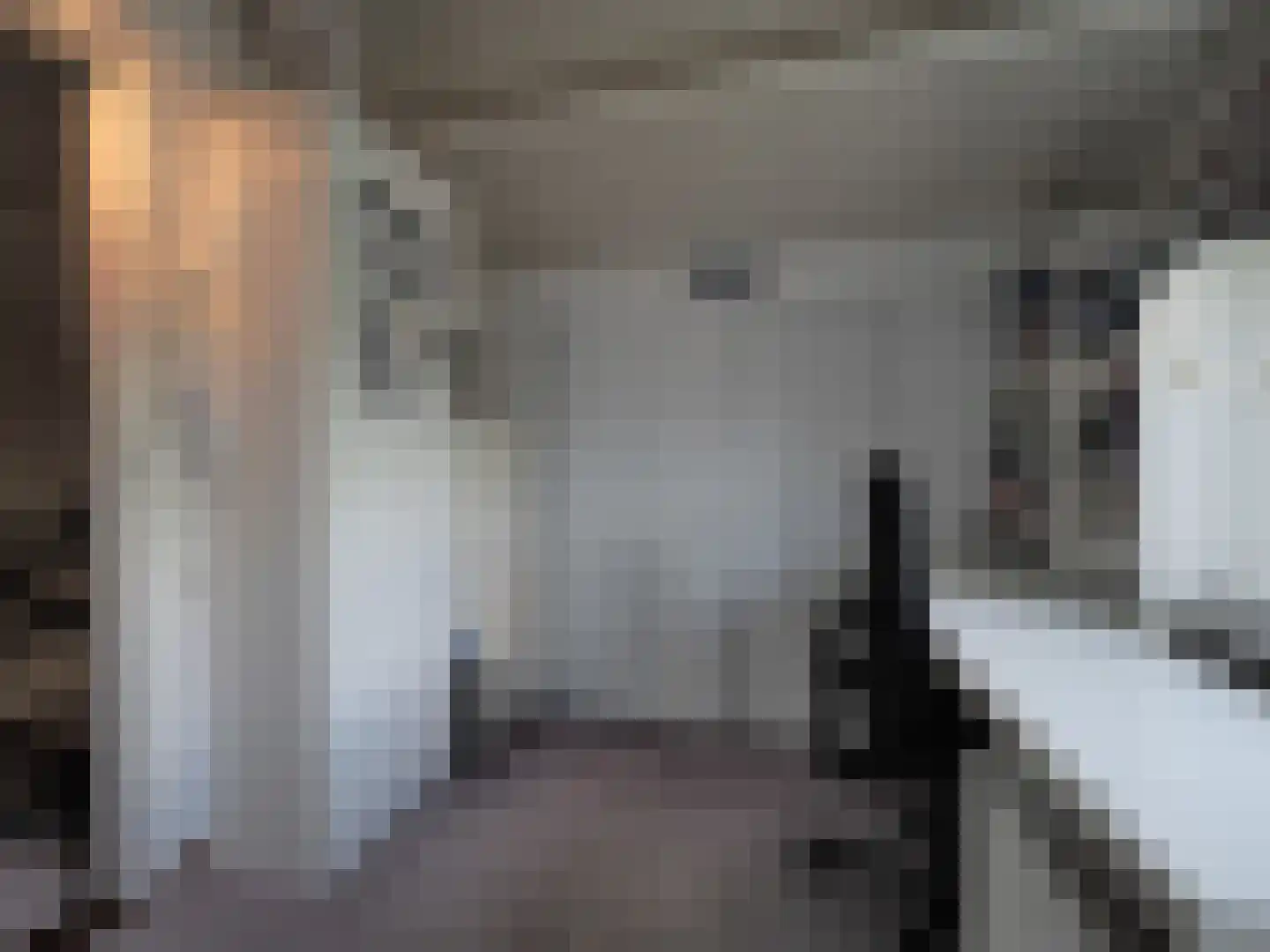 Paltrokmolen 25 Papendrecht thumbnail 37