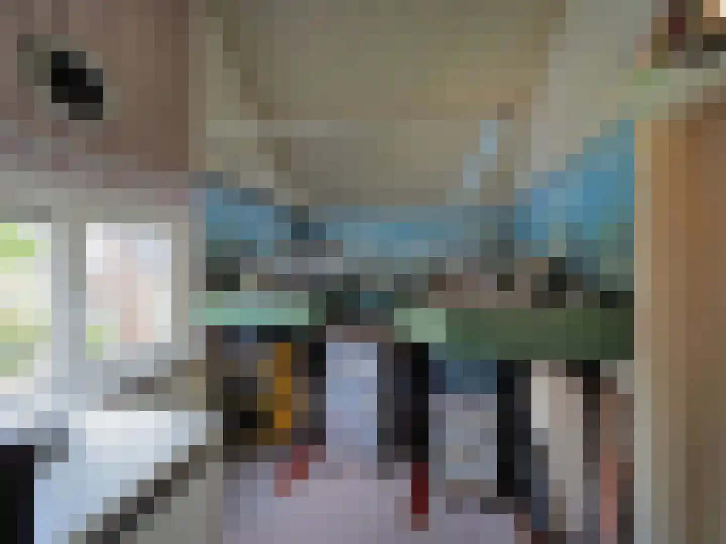 Paltrokmolen 25 Papendrecht thumbnail 38