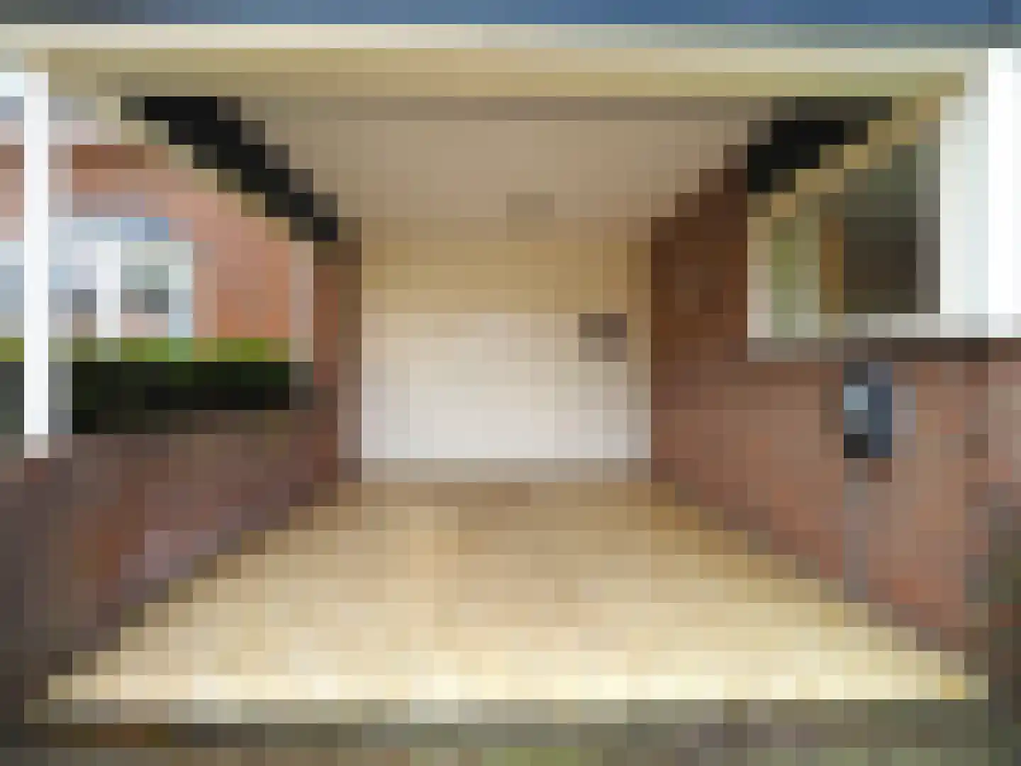 Paltrokmolen 25 Papendrecht thumbnail 4