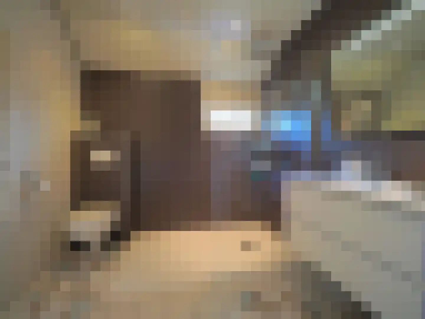 Paltrokmolen 25 Papendrecht thumbnail 41