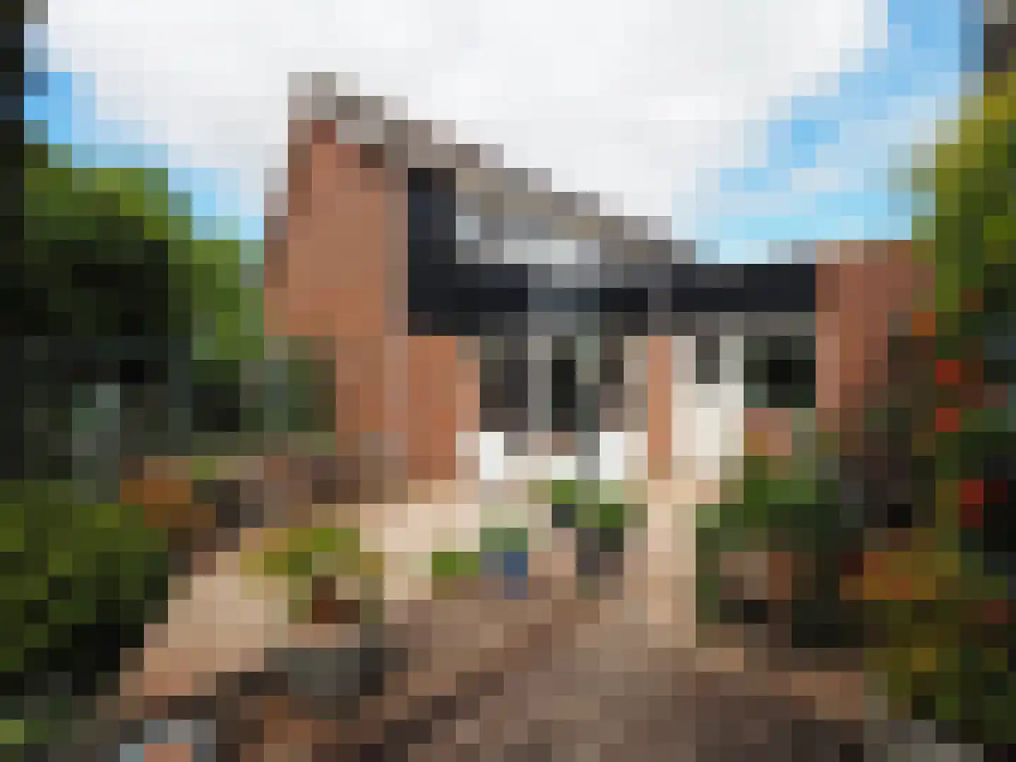 Paltrokmolen 25 Papendrecht thumbnail 45