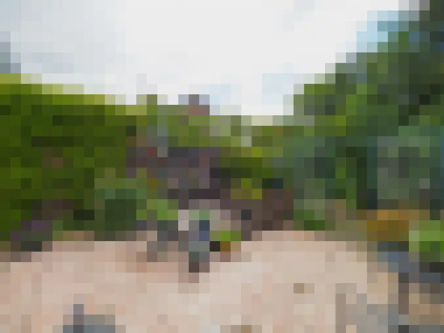 Paltrokmolen 25 Papendrecht thumbnail 47