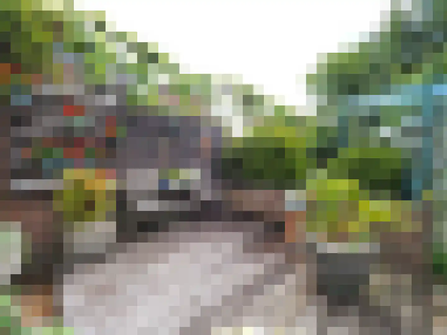 Paltrokmolen 25 Papendrecht thumbnail 48