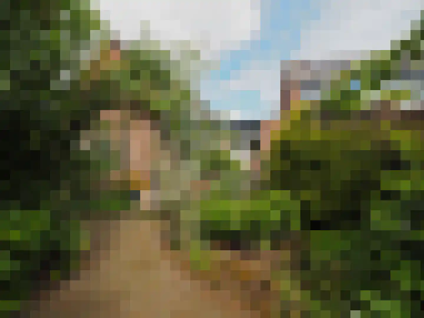 Paltrokmolen 25 Papendrecht thumbnail 49