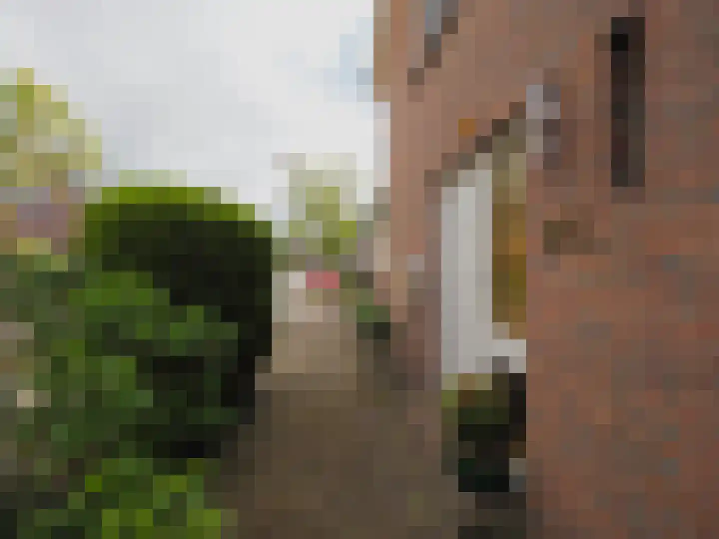 Paltrokmolen 25 Papendrecht thumbnail 5