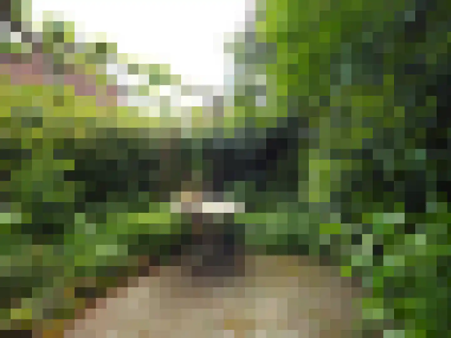 Paltrokmolen 25 Papendrecht thumbnail 51