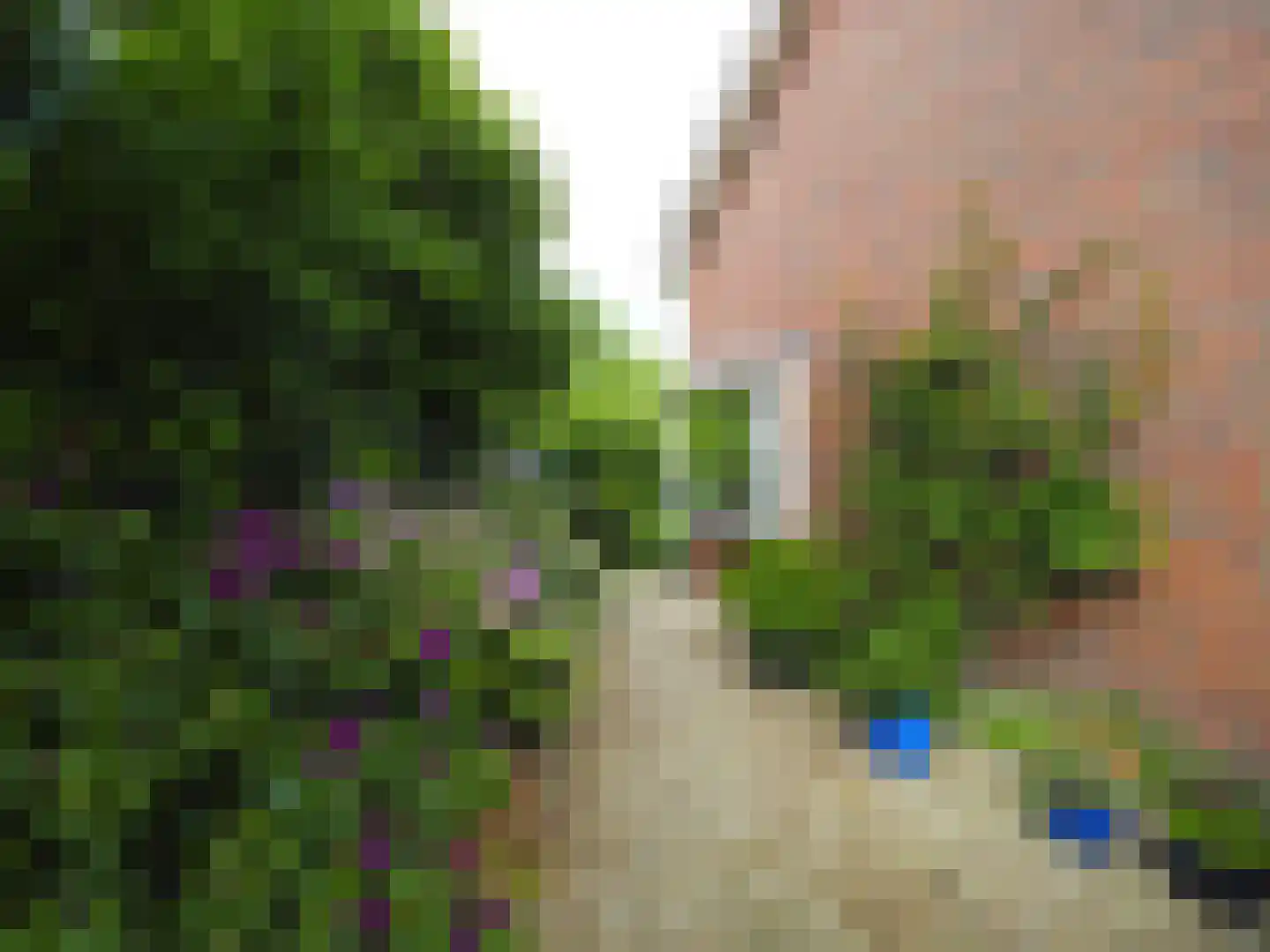 Paltrokmolen 25 Papendrecht thumbnail 52