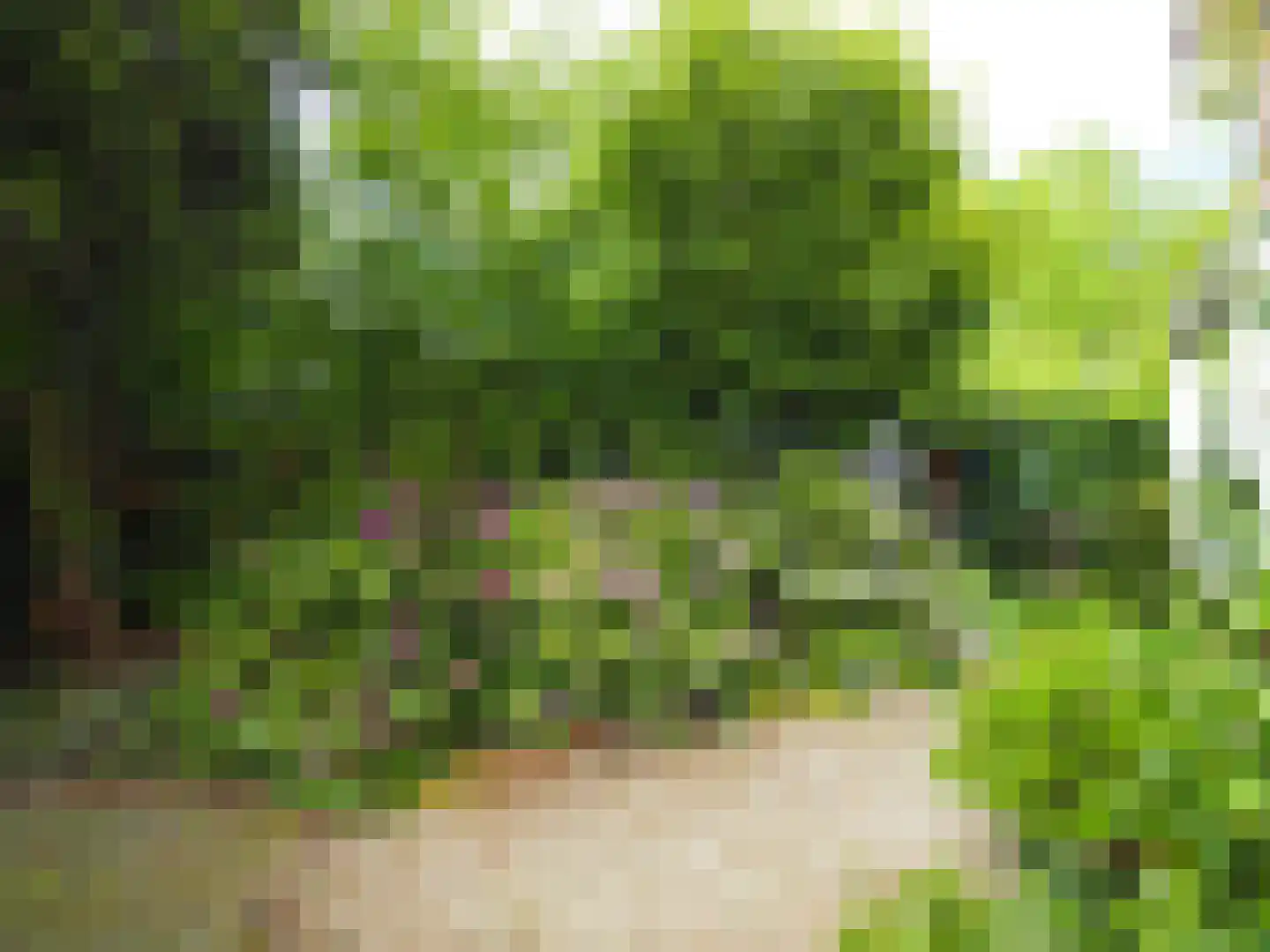 Paltrokmolen 25 Papendrecht thumbnail 53