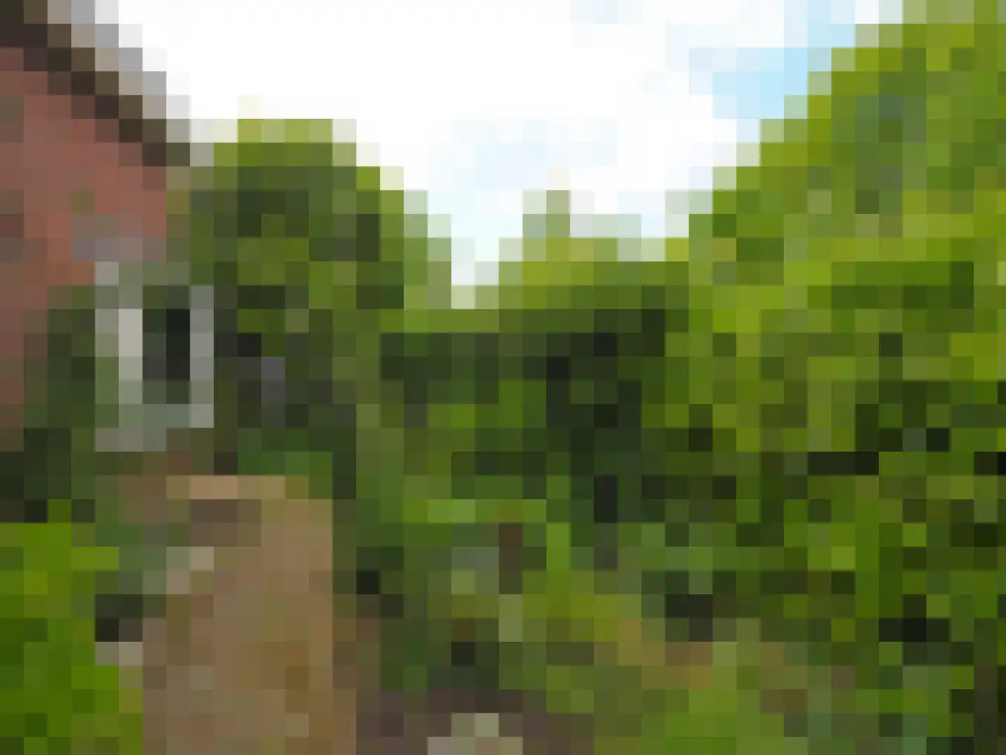 Paltrokmolen 25 Papendrecht thumbnail 55