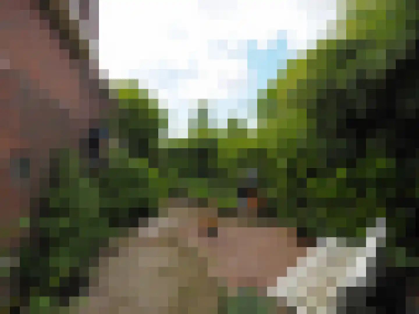 Paltrokmolen 25 Papendrecht thumbnail 57